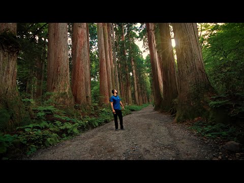日本神祕的山嶽神社的早晨 (A Morning at Japan's Mysterious Mountain Shrine)