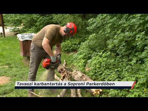 Híradó – 2026.05.14. – Csütörtök