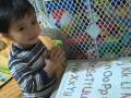 2 Y O Toddler ABC S Sing Learn Read And Spell Animals Of All Kinds Flash Cards