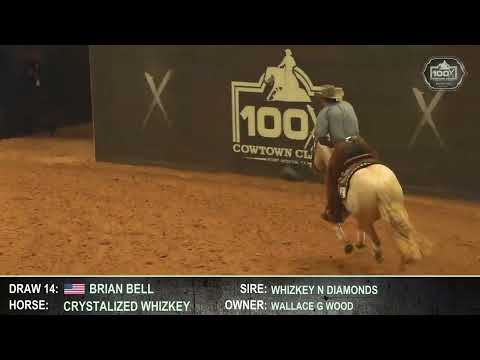 100X Level 4 Open Stakes Champion - Crystalized Whizkey & Brian Bell