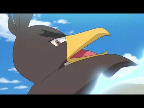 Gallade Vs Farfetch'd