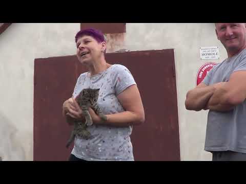 Příprava expedice Šumava 2024