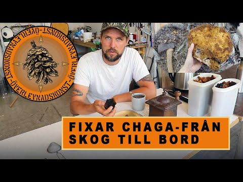 , title : 'FIXAR CHAGA-FRÅN SKOG TILL BORD'