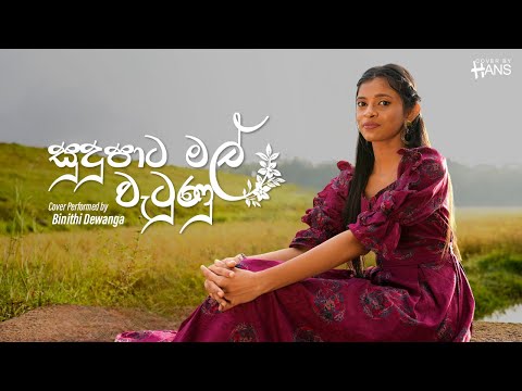 Sudu Pata Mal Watunu  (සුදු පාට මල් වැටුණු) Cover | Performed  By Binithi Dewanga | Cover by Hans