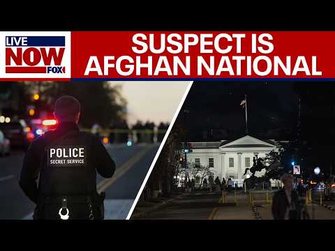 Video | DC shooting update: Investigated as 'possible terrorism', suspect is Afghan national