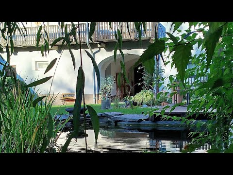 Statek Kloubek Apartments & Wellness - Mirkovice 4