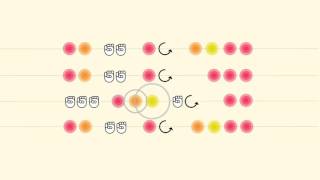 Sequence Version Two (Dynamic)