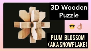 3D Wooden Burr Puzzle - Plum Blossom (aka Snowflake) - with commentary