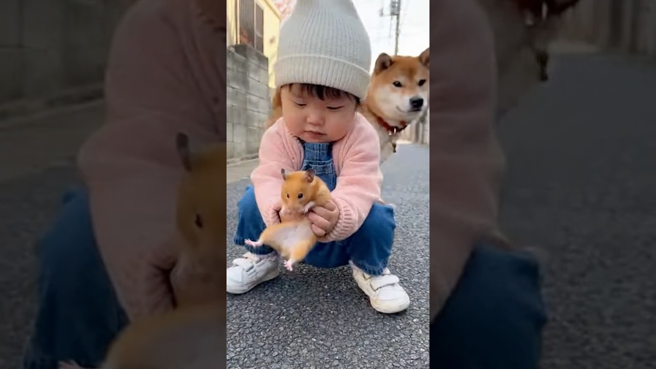 ハムちゃんが、、、、、、、 #ai #犬 #shorts
