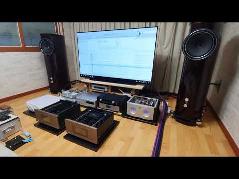 FYNE AUDIO F1-12 with FURUTECH FP-S55N ㅡ DSP-4.1 ㅡ DSS-4.1 _ Arne Domnerusㅡ Antiphone Blues