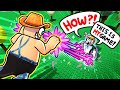 5 Hours Of Flamingo Compilation