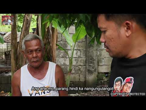 Pati Agmulmula Laya Maistorbo Gapo Kinyayo