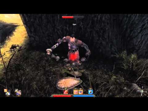 Risen tactics: Ogre (no damage)