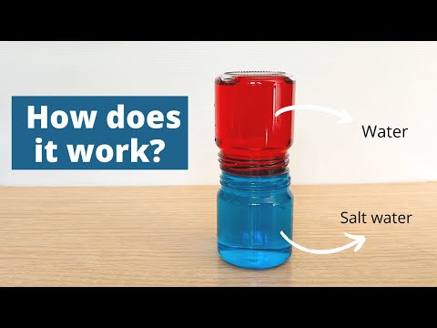 Water Density Experiment | Why Salt Water and Fresh Water Don't Mix |