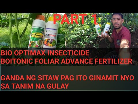 BIO OPTIMAX+BIOTONIC CHIMECAL FREE!!!  WOOWW.....ORGANIC  INSECTICIDE 🔥🔥🔥🔥🔥🔥🔥🔥🔥🔥🔥🔥🔥🔥🔥