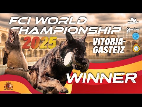 Winner / 33. FCI IGP World Championship 2025 / Susan Miller / Nati's Empower Nyles / working-dog