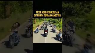 Download lagu AKSI MOGE MEMBUAT GANGSTER BERJATUHAN #alurceritafilm #film mp3 Download lagu AKSI MOGE MEMBUAT GANGSTER BERJATUHAN #alurceritafilm #film mp3