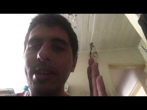 Historia de Japón a través de los siglos parte 1 ( prehistoria y estado yamato)