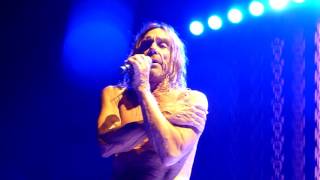 Iggy Pop -- CHOCOLATE DROPS + PARAGUAY-- HMH - Amsterdam -- 10 May 2016