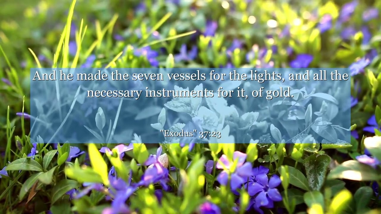 Exodus 37:23 And he made the seven vessels for the lights, and all the necessary instruments for it,