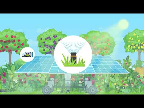 A Sowing, Pruning, and Harvesting Robot for Synecoculture Farming