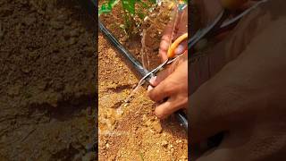 Usefull product for drip irrigation👌🏻👌🏻