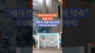 천안 독립기념관 '태극기, 바람 속의 약속' 전시 후기 | 광복 80년 서포터즈