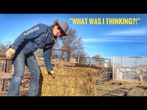 DANIELLE DOES ALL THE WORK | HENSON IS BACK IN THE SADDLE!!! #ranchwifelife