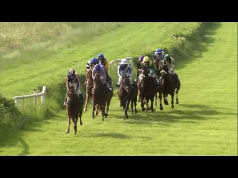 Galopprennbahn Dresden  - 25.05.2019 - Rennen 7