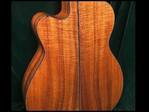 Martin MC DSM Guitar