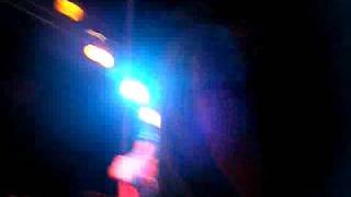 white roses - taste of your kiss