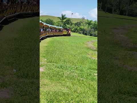 Casa Beto Carrero Penha Santa Catarina 🇧🇷.