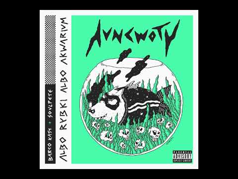 12 - HVNCWOTY (Barto Katt & Soulpete) - Albo rybki albo akwarium