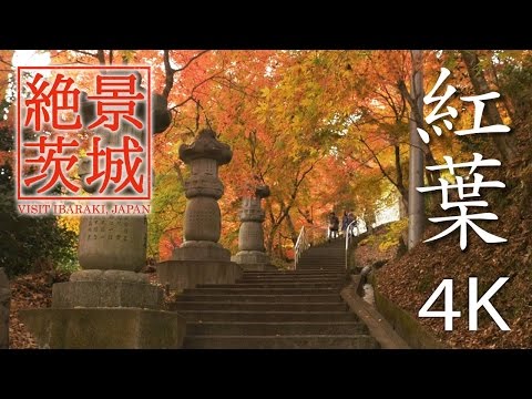 【絶景茨城】紅葉［4K］｜VISIT IBARAKI, JAPAN