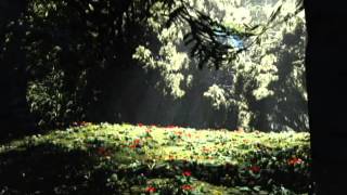 Jon Anderson - Sing to Me [from Zamran Experience, 2013]