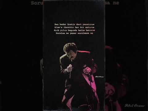 Müslüm Gürses-Ne yazar