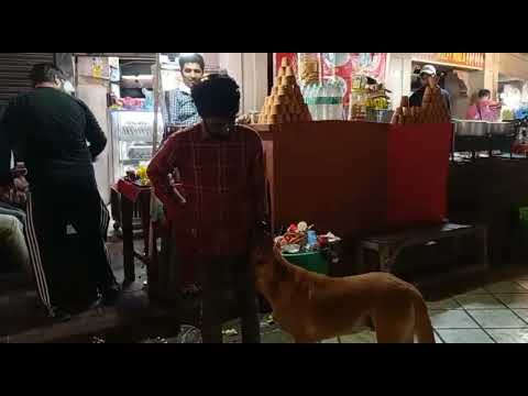 ഒരു തലോടൽ മാത്രം കൊടുത്തപ്പോൾ  ഒരു തെരുവ് നായ കാണിക്കുന്ന സ്നേഹം... പറയാൻ വാക്കുകൾ ഇല്ല... 🥰🥰