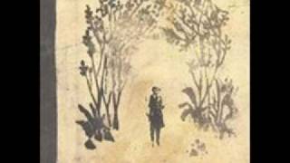 Sigur Ros      Saeglopur