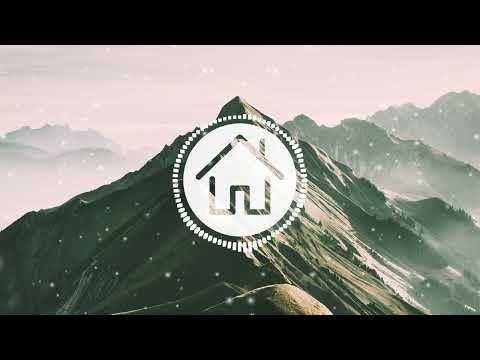 Steve Angello, Wh0 - What You Need