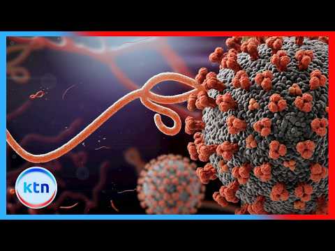 DRC Ebola Outbreak Hits 5,375 Cases, 2,557 Deaths as Vaccine Rollout Begins