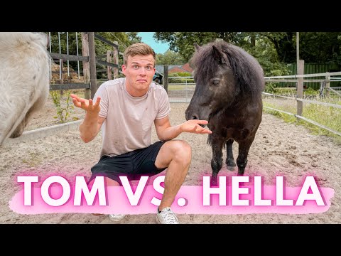 TOM ERKLÄRT... // Wie viel hättet ihr richtig? FMA