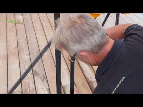 E.P.H. Schmidt Gewächshaus Merkur 9900 - 9,9qm | ESG 3mm | grün E.P.H. Schmidt Gewächshaus Merkur 9900 - 9,9qm | ESG 3mm | grün