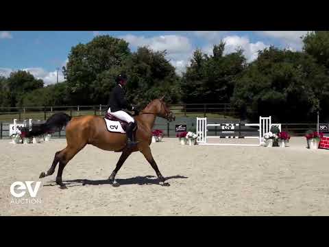 Kasac d'Elle SAUT SPORT