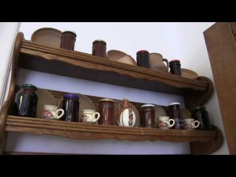 Floarea de la Bozovici - Povestea necunoscuta a unei eroine banatene