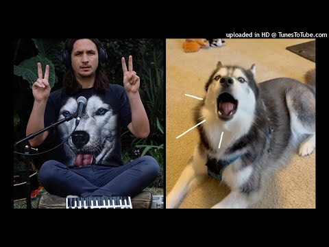 【高音質】The Kiffness-Ancient Husky Melody