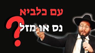 עם כלביא מה זה נס או מזל? (הרב עדיאל שפיגל) - התמונה מוצגת ישירות מתוך אתר האינטרנט יוטיוב. זכויות היוצרים בתמונה שייכות ליוצרה. קישור קרדיט למקור התוכן נמצא בתוך דף הסרטון