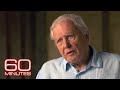 Sir David Attenborough: The 60 Minutes Interview