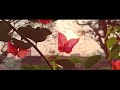 Pehla Nasha Cinematic Video Instrumental Nature Firdaus Imam Mobile Cinematography