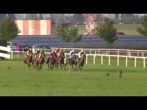 BR, 30. 9. 2017, 8. dostih - Podzimní brněnská stch - POHÁR STATUTÁRNÍHO MĚSTA BRNA