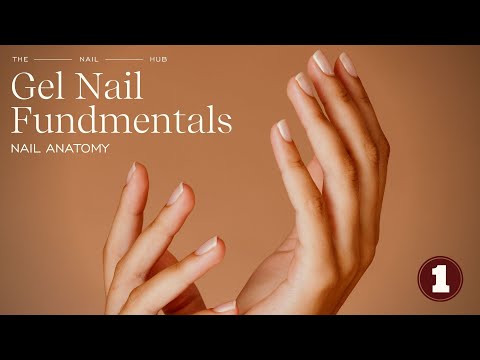Nail Anatomy 101: Everything You Need To Know About Natural Nails & Nail Care